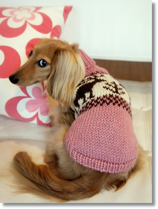 手編みのカウチン風セーター☆ | はじめてづくしのワンコライフ