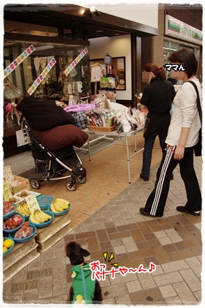 IMGP0286-3.jpg