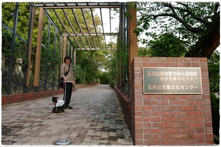 IMGP0977-3.jpg