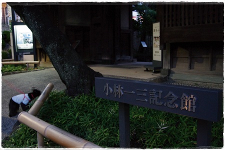 IMGP0990-3.jpg