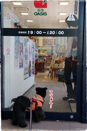 IMGP1251-3.jpg