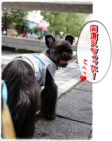 IMGP9591-2.jpg