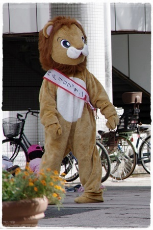 IMGP9599-2.jpg
