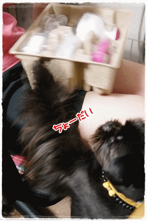 anigif110916.gif