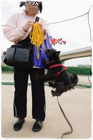 anigif111025.gif