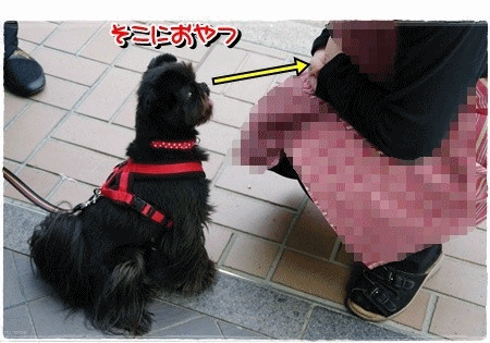 anigif111026.gif
