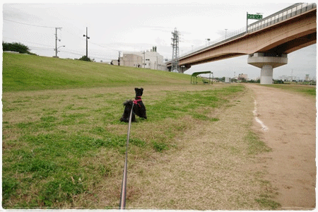 anigif111112.gif