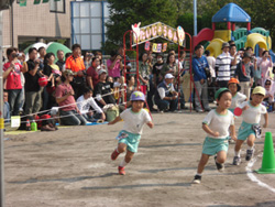 チェリー幼稚園　運動会　1　2011