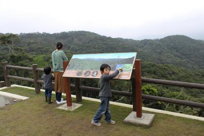 20120305 040