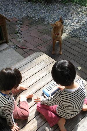 20120323 014
