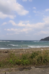 IMG_0783.jpg
