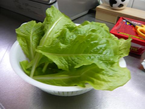 6-6-2.jpg