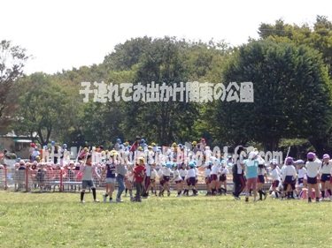 大混雑のワンパクボール島