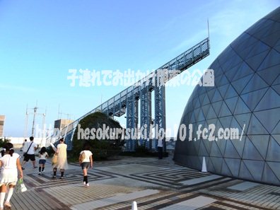 屋上庭園