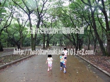 桜並木を歩く
