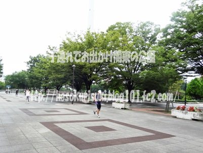 けやき広場から南の方を見る