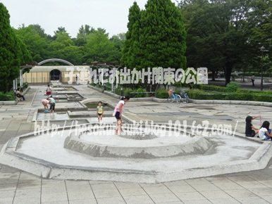 噴水側から見た流れの様子