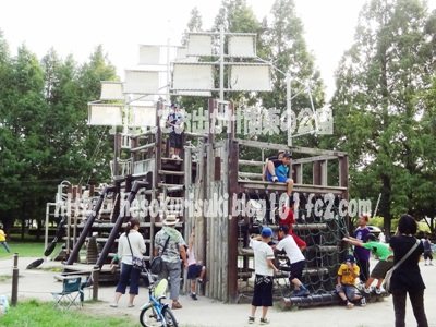 左横から見た様子