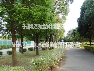遊戯広場へ続く園路