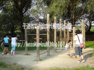 トリム広場の鉄棒