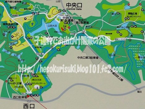 公園案内図の西口と中央口付近を拡大