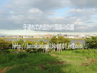 展望の丘から見た旧江戸川