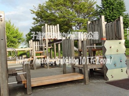 右横から見た様子後ろ半分