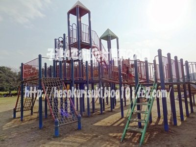 複合遊具裏の左側