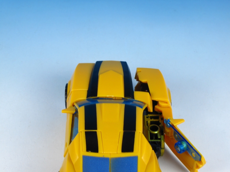 IMG_9339_R.jpg