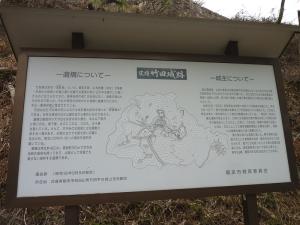 12042911.jpg