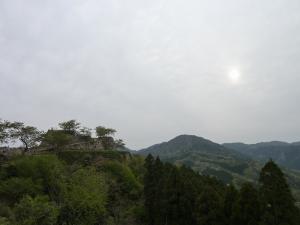 12042916.jpg