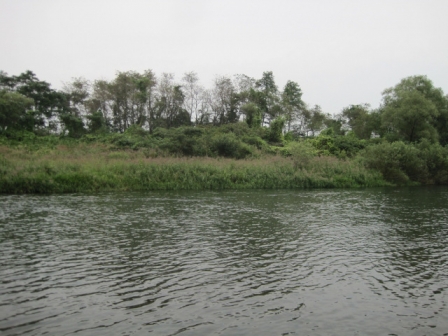 IMG_0211.jpg