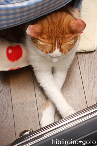 hn20131205_1.jpg
