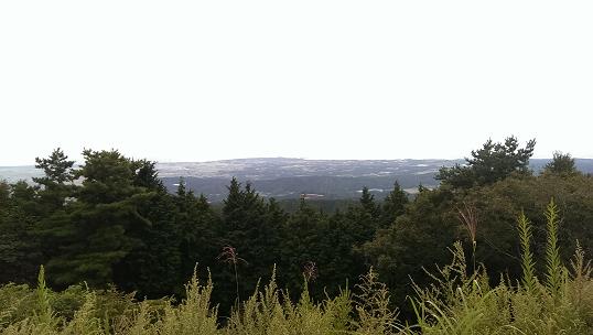 ohohk (2)