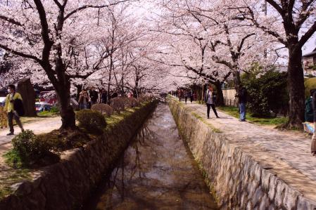 tetugaku_20130331215350.jpg