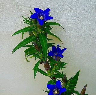 s_DSC_2802.jpg