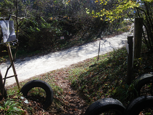 IMGP6945s.jpg