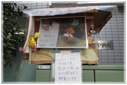 シマ