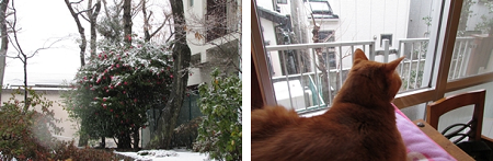 雪-0