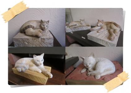 cat-4.jpg