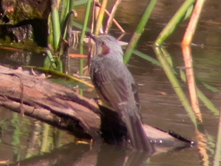 R1147725.jpg
