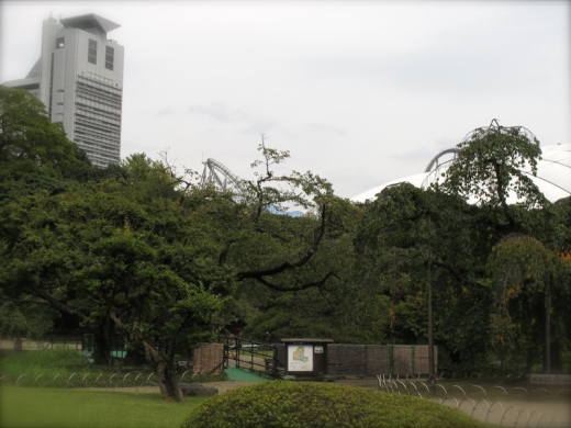 小石川後楽園①