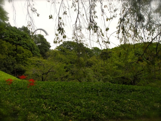 小石川後楽園②