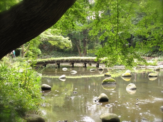 小石川後楽園 渡月橋
