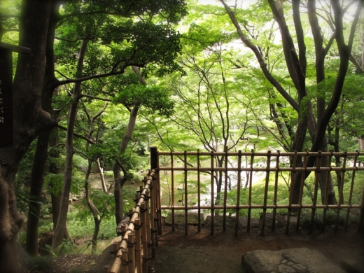 小石川後楽園 清水観音堂跡から
