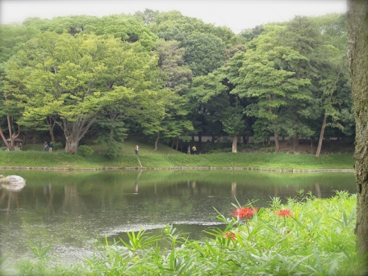 小石川後楽園⑤