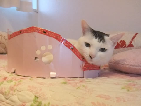 2014-0914-5.jpg