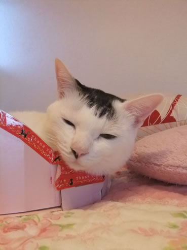 2014-0914-6.jpg