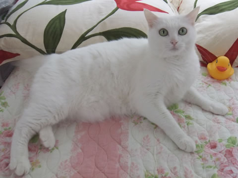 2014-0923-1.jpg