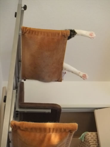 2014-0923-5.jpg